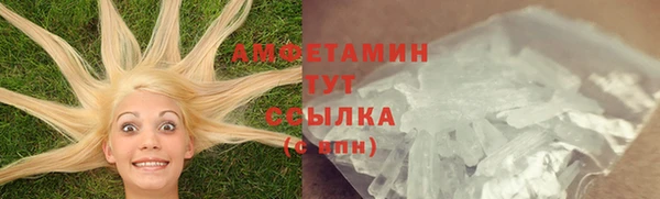 молекула духа Алексеевка