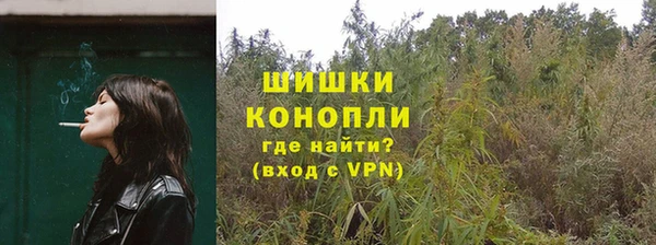 амф Семёнов