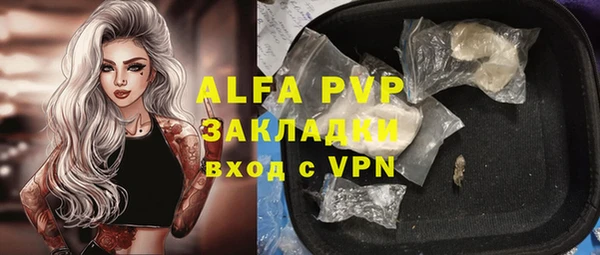 молекула духа Алексеевка